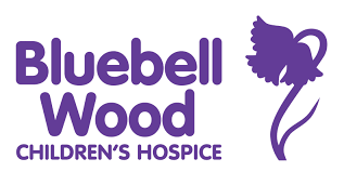 Bluebell wood