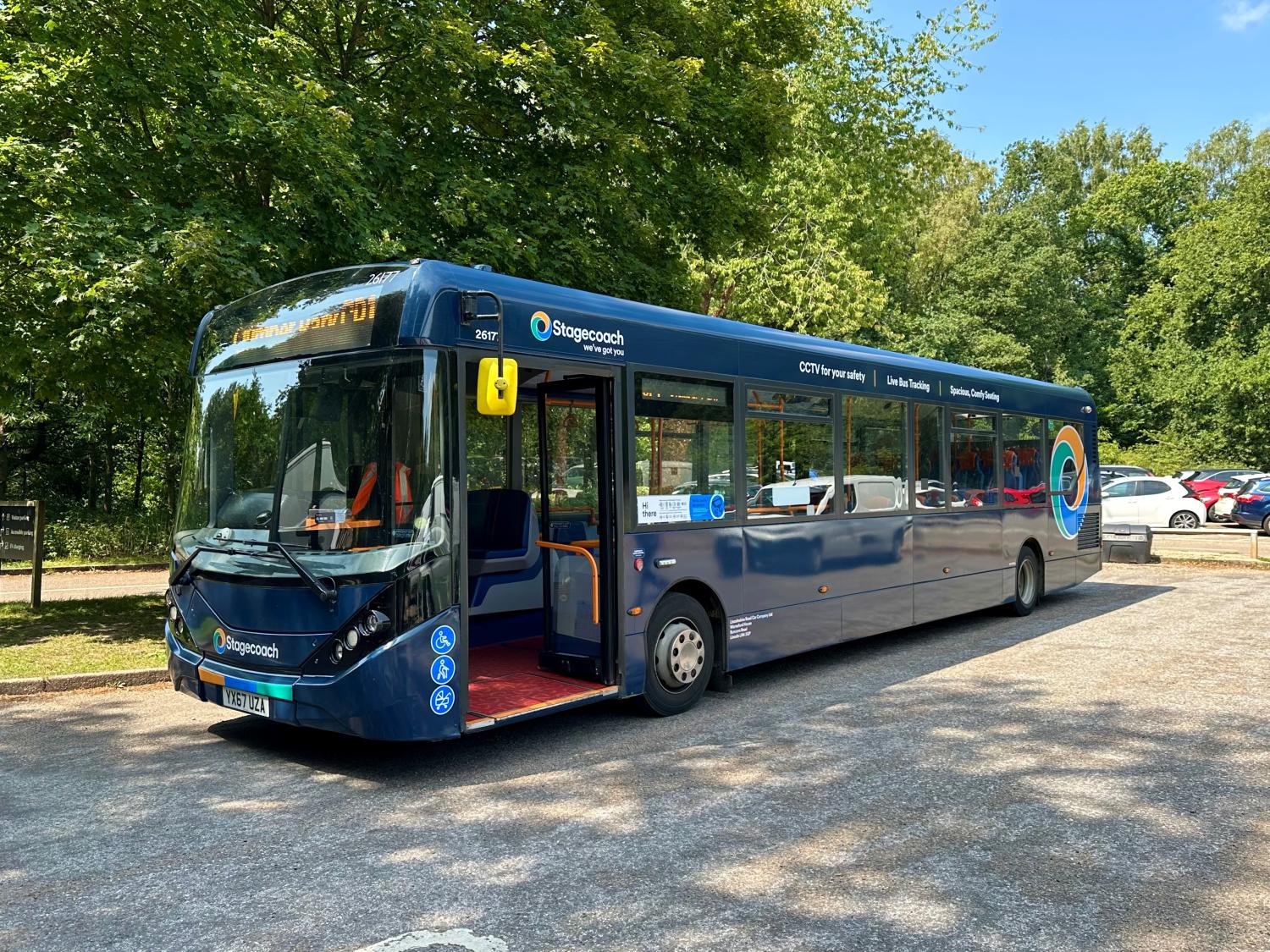 bus