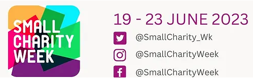 small charity week