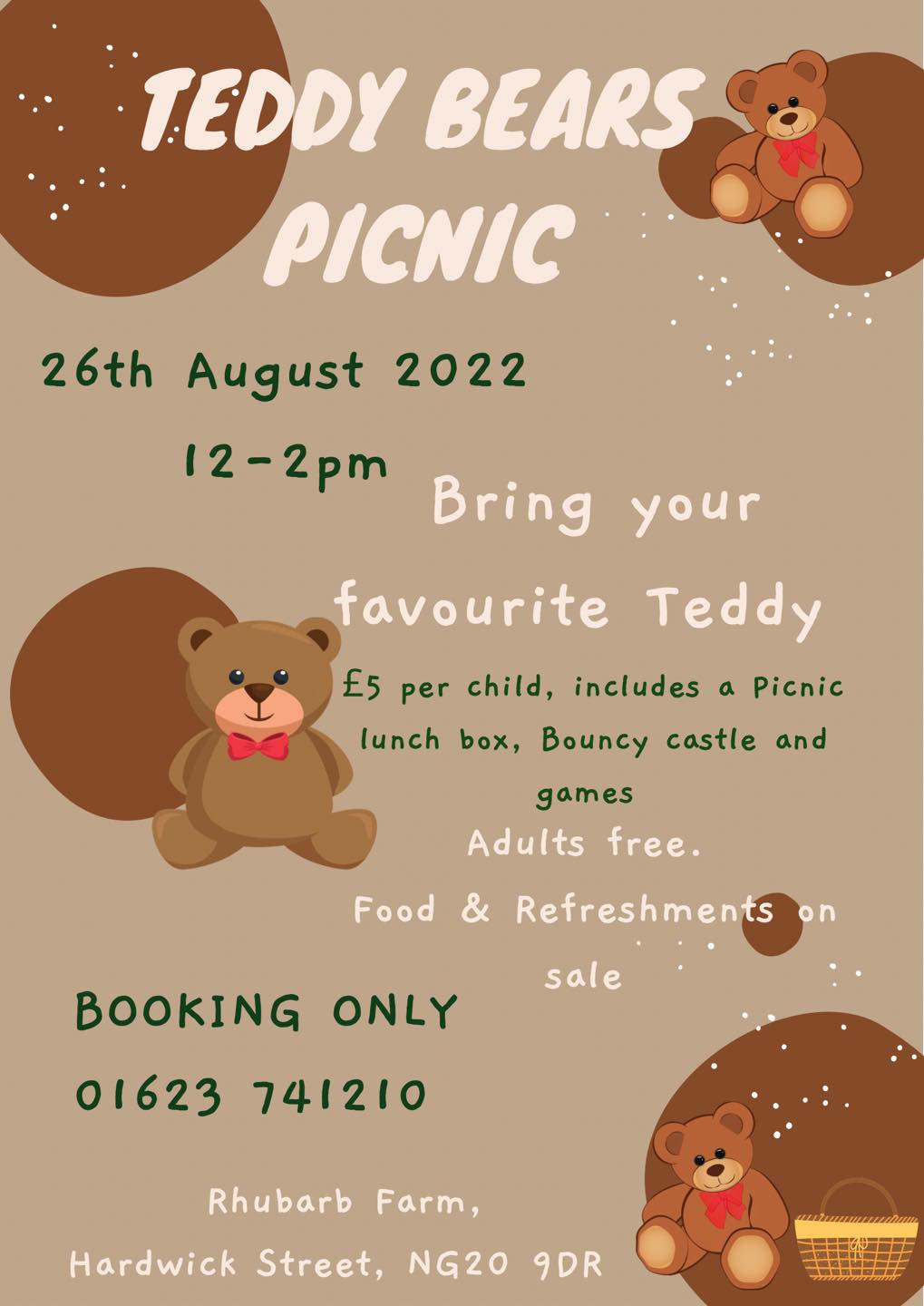 teddy picnic
