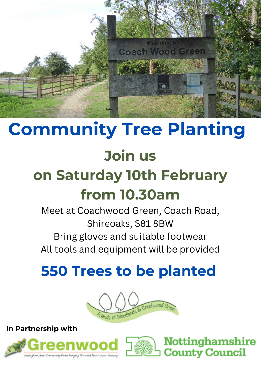 tree planting flyer